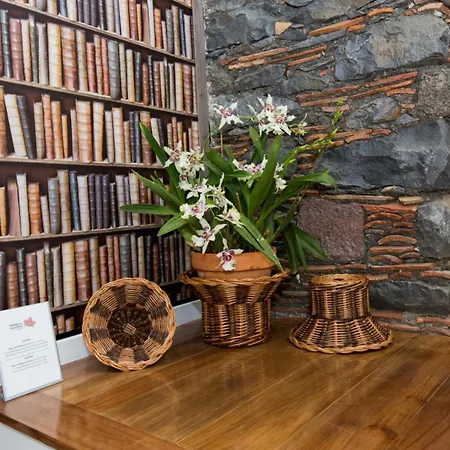 Ourmadeira - Casa Orquideas, Sunny Location